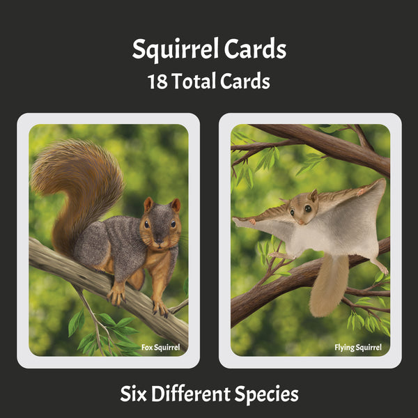 Load image into Gallery viewer, Images says Squirrel Cards 18 total cards six different species with two images of squirrels. Fox squirrel and flying squirrel
